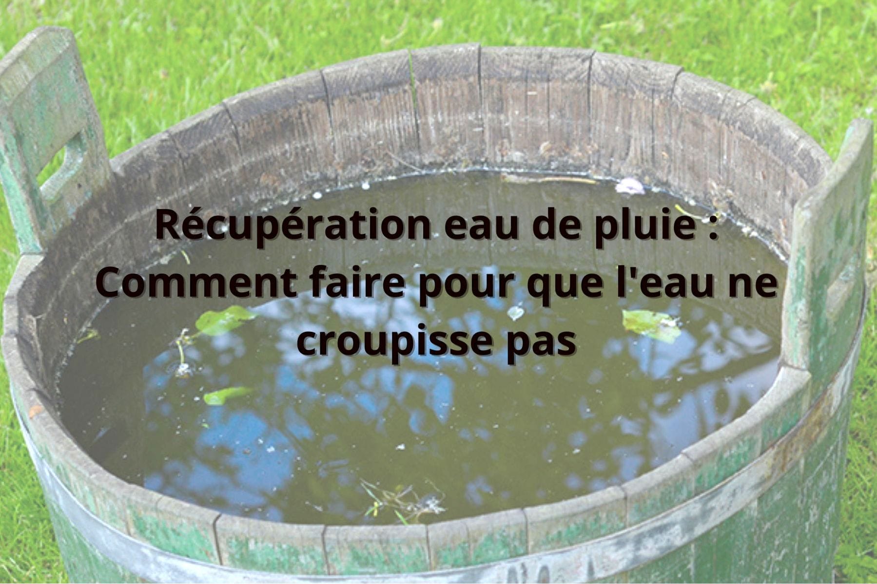 Comment éviter que l’eau croupisse dans un récupérateur d’eau de pluie