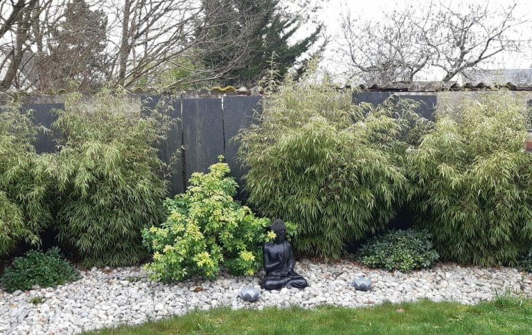 lantana gaujard rome